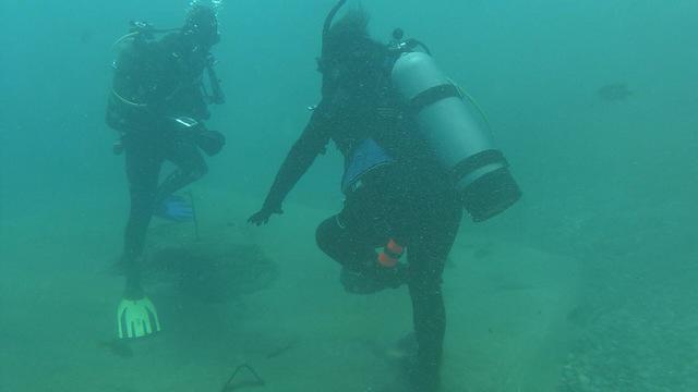 Scubatech Of NW Florida - Dive Center in United States