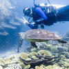 Picture taken during the dive