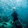 Picture taken during the dive