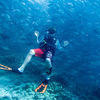 Picture taken during the dive