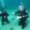 Picture taken during the dive