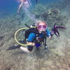 Picture taken during the dive