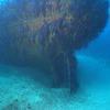 Picture taken during the dive