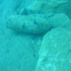 Picture taken during the dive