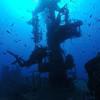 Picture taken during the dive