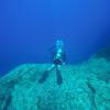Picture taken during the dive
