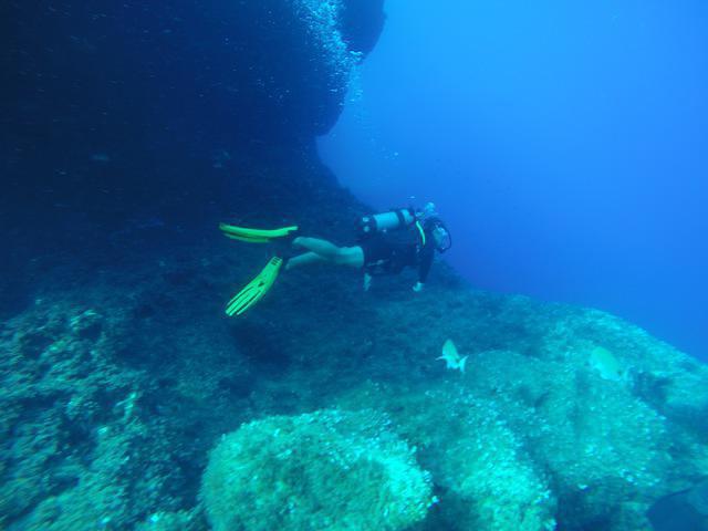 Cresta Dive Centre - Dive Center in Malta