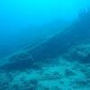 Picture taken during the dive