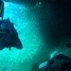 Picture taken during the dive