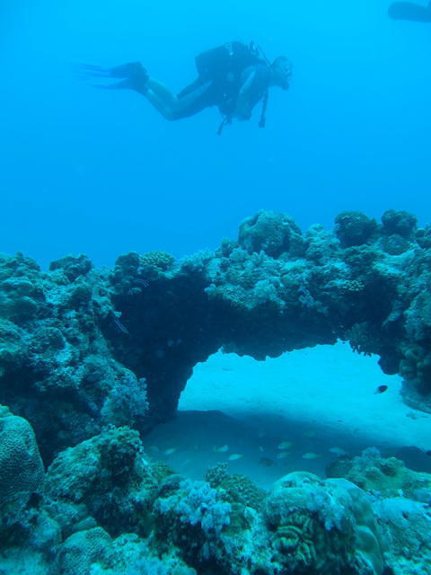 Liquid Dreams-Remora Diving Centre - Dive Center in Mauricio