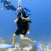 Picture taken during the dive