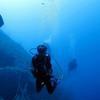 Picture taken during the dive