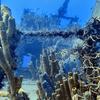 Picture taken during the dive
