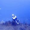 Picture taken during the dive