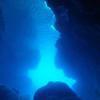 Picture taken during the dive