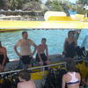 Picture taken during the dive