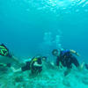 Picture taken during the dive