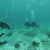 Picture taken during the dive
