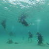 Picture taken during the dive