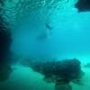 Picture taken during the dive