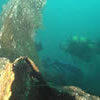 Picture taken during the dive