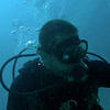 Picture taken during the dive