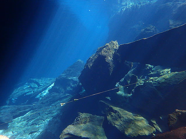 Diversity Diving - Dive Center in Mexique