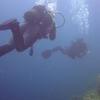 Picture taken during the dive