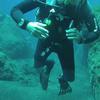 Picture taken during the dive