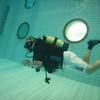 Picture taken during the dive