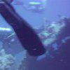 Picture taken during the dive