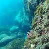 Picture taken during the dive