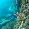 Picture taken during the dive