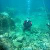 Picture taken during the dive