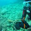 Picture taken during the dive