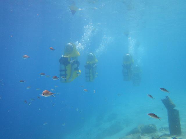 THE DIVESHOP Curacao - Dive Center in Netherlands Antilles