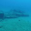 Picture taken during the dive