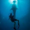 Picture taken during the dive