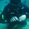 Picture taken during the dive