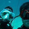 Picture taken during the dive