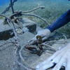 Picture taken during the dive