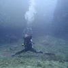 Picture taken during the dive