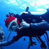 Picture taken during the dive
