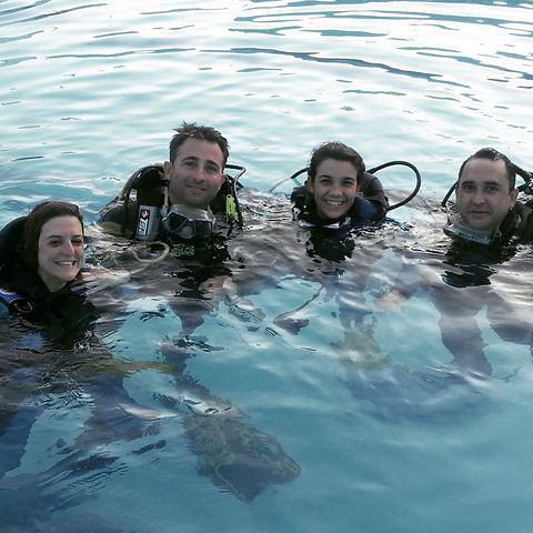 Masbuceo S.L. - Dive Center in Spain