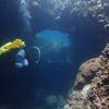 Picture taken during the dive