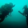Picture taken during the dive