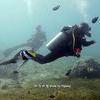 Picture taken during the dive