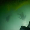 Picture taken during the dive