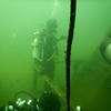 Picture taken during the dive