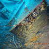 Picture taken during the dive